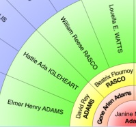 My strategy for focusing my genealogy efforts in 2014