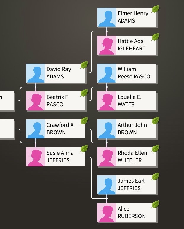 Trying out Ancestry.com family tree - Organize Your Family History
